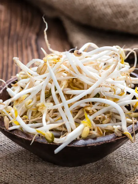 089955600 1569228443 shutterstock 277589177